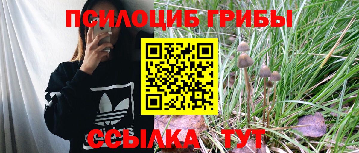 Галлюциногенные грибы MAGIC MUSHROOMS Усолье-Сибирское